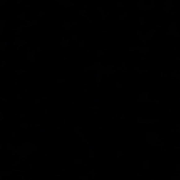 Meet your Posher, Adam - Picture 1 of 1